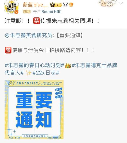 负责与合作方公司对接的朱志鑫粉头就这样双标‼️